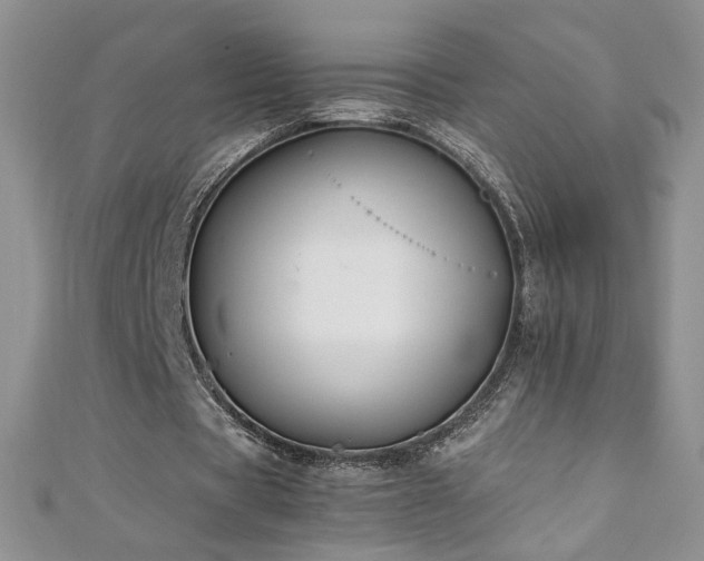 X0000110930529200906181431
