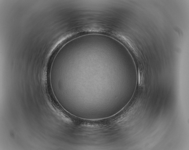 X0000110930531200906181431