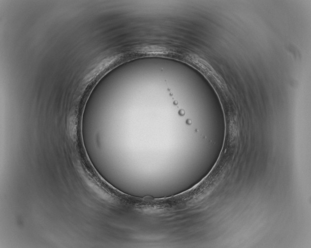 X0000110930533200906181431