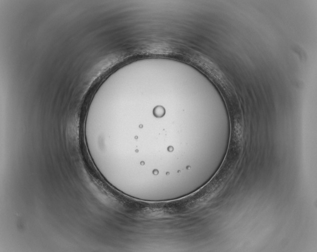 X0000110930534200906181431