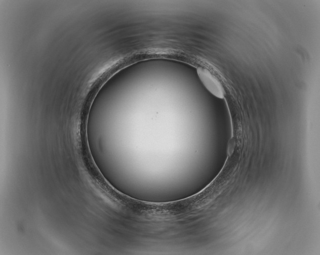 X0000110930535200906181431