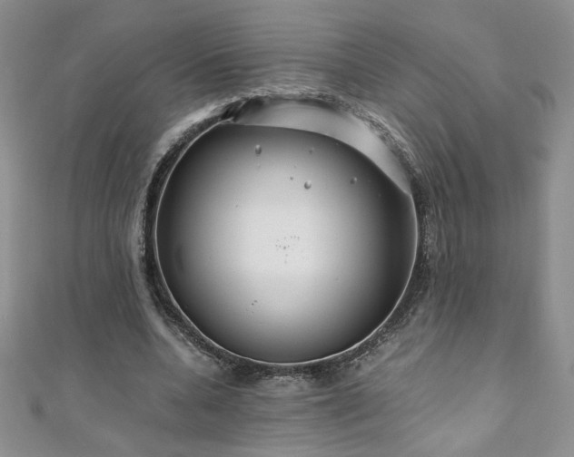 X0000110930536200906181431