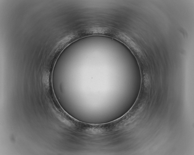 X0000110930537200906181431