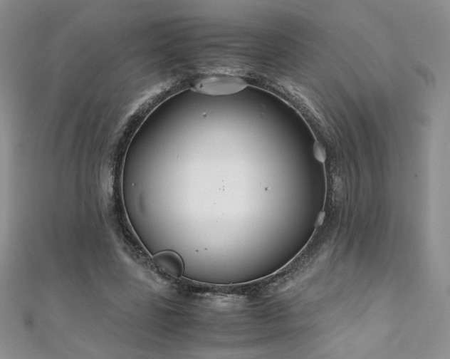 X0000110930539200906181431