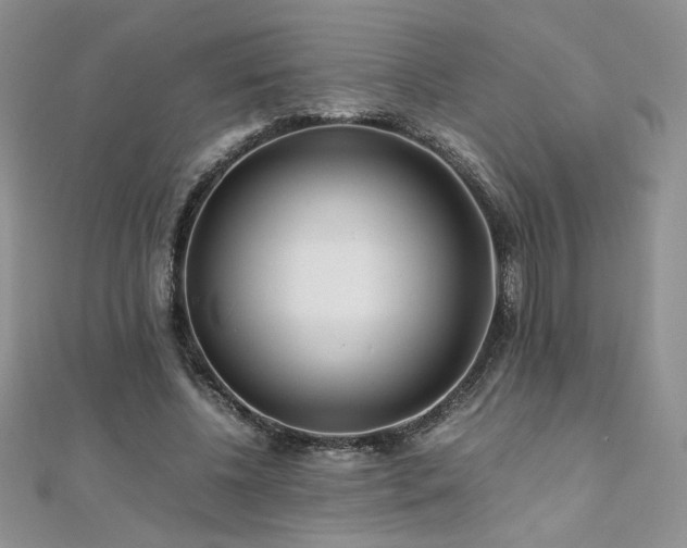 X0000110930540200906181431
