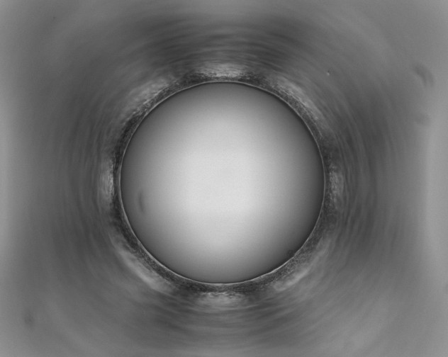 X0000110930541200906181431