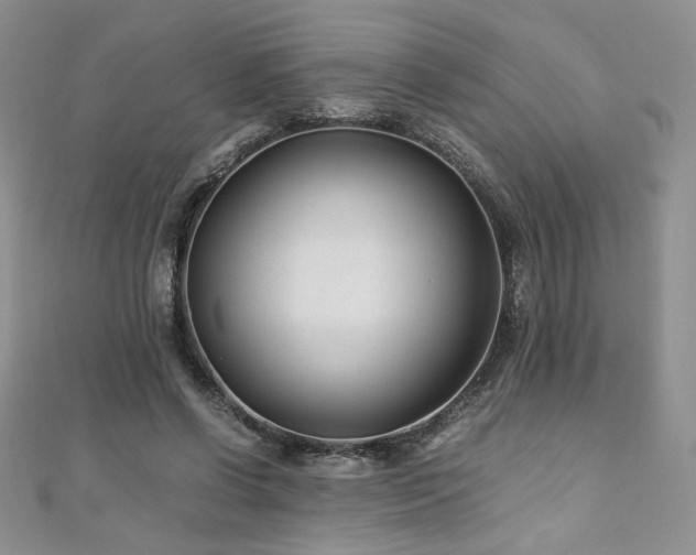 X0000110930542200906181431