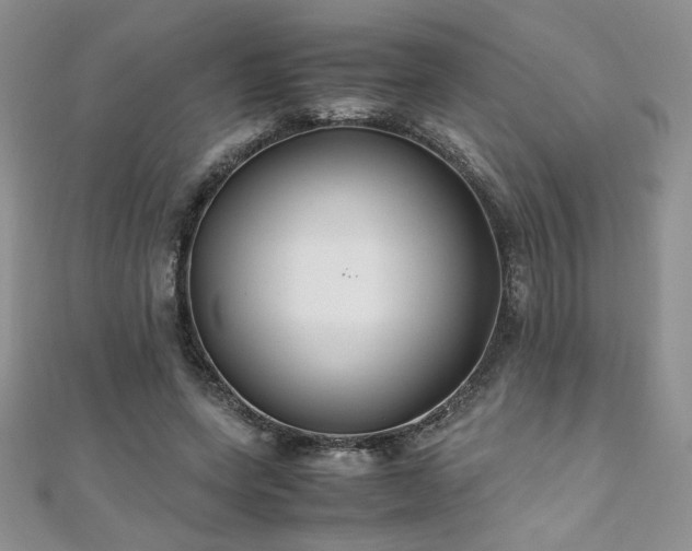 X0000110930543200906181431