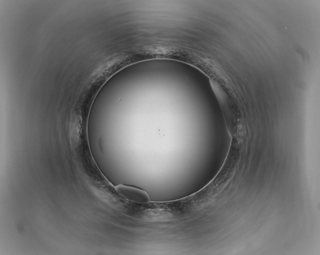 X0000110930544200906181431