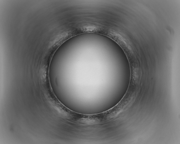 X0000110930545200906181431