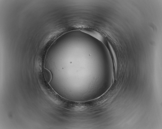 X0000110930547200906181431