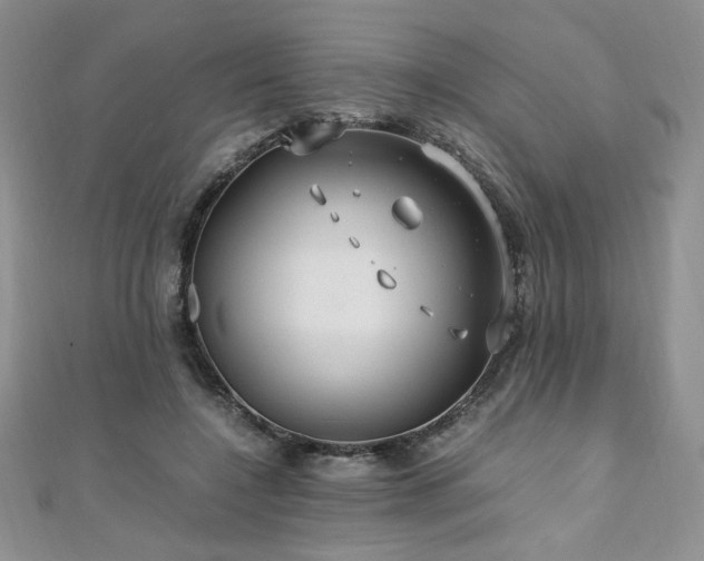 X0000110930548200906181431