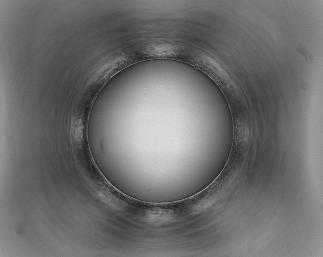 X0000110930549200906181431
