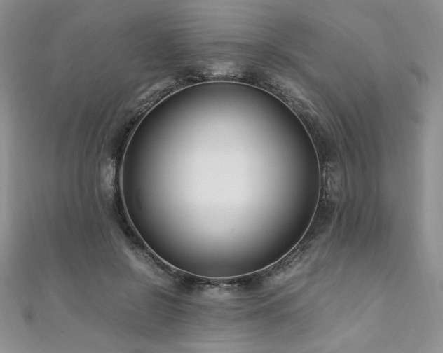 X0000110930550200906181431