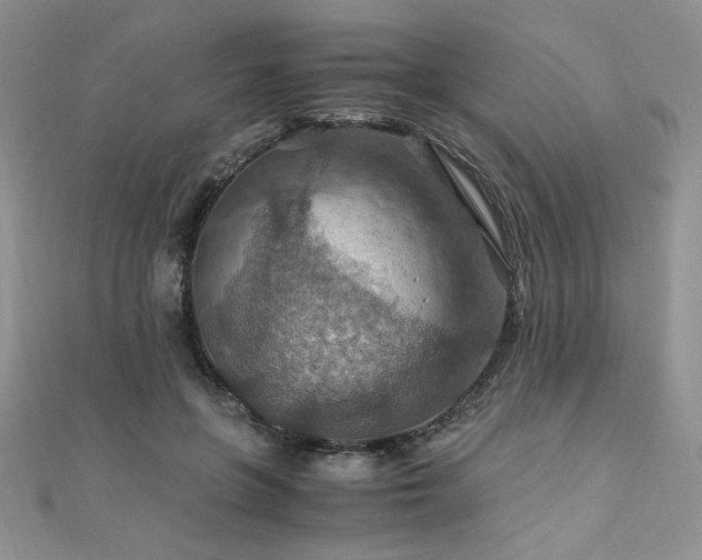 X0000110930551200906181431