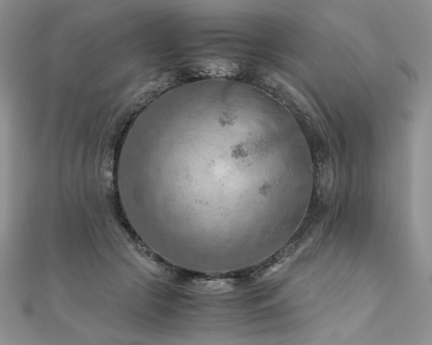 X0000110930553200906181431