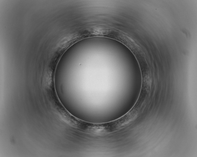 X0000110930554200906181431