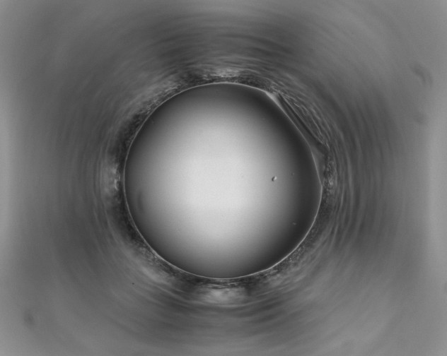 X0000110930555200906181431