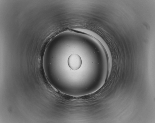 X0000110930556200906181431