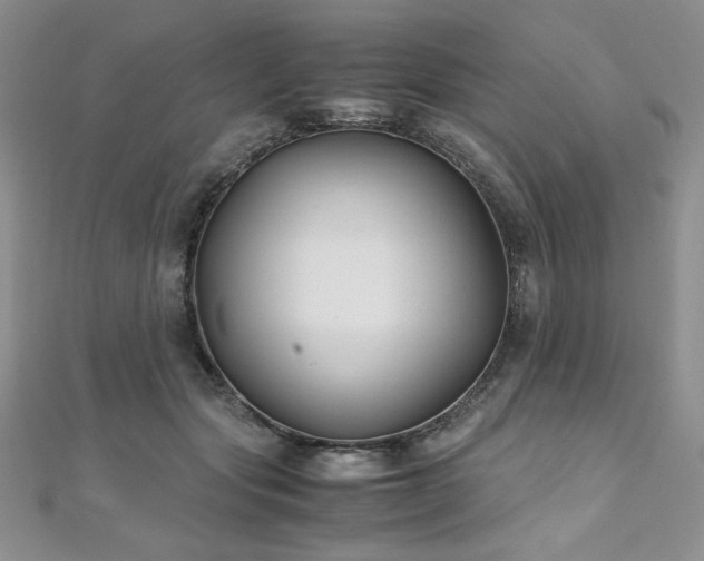 X0000110930557200906181431