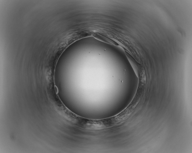 X0000110930559200906181431