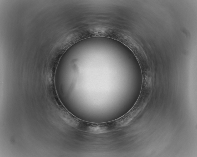 X0000110930561200906181431