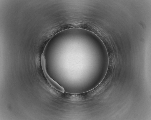 X0000110930562200906181431