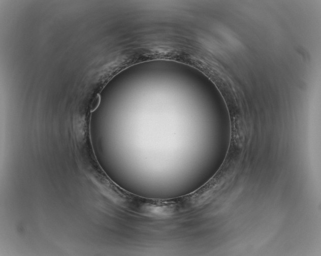 X0000110930563200906181431