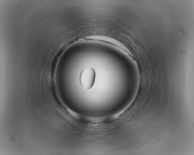 X0000110930564200906181431