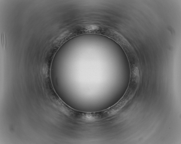 X0000110930565200906181431