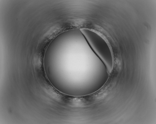 X0000110930566200906181431