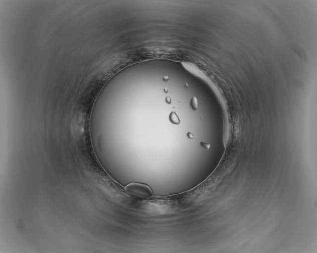 X0000110930567200906181431