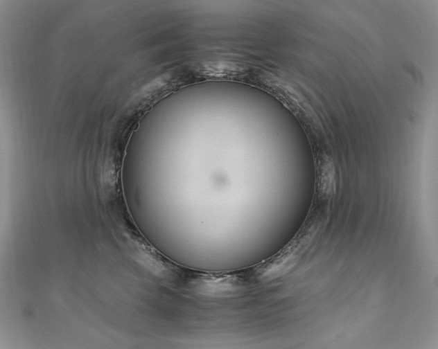 X0000110930569200906181431