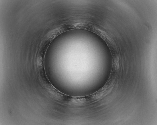 X0000110930571200906181431