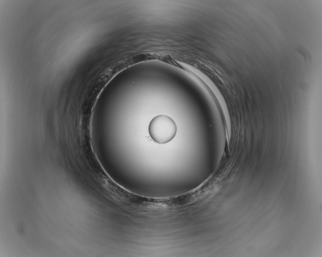 X0000110930572200906181431