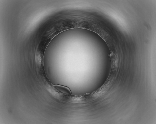 X0000110930574200906181431