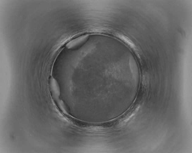 X0000110930577200906181431