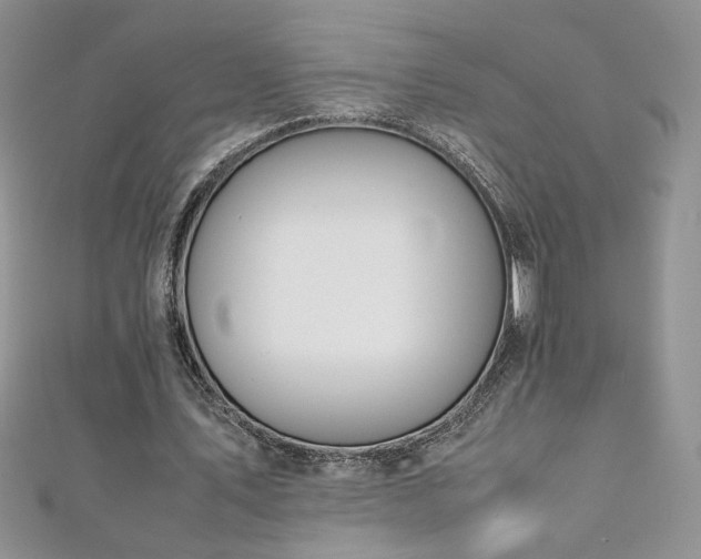 X0000110930579200906181431