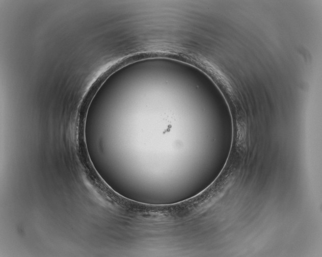 X0000110930580200906181431