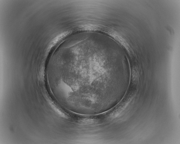 X0000110930581200906181431