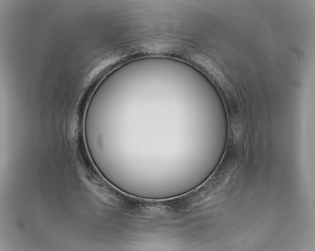 X0000110930583200906181431