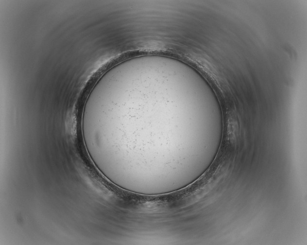 X0000110930584200906181431
