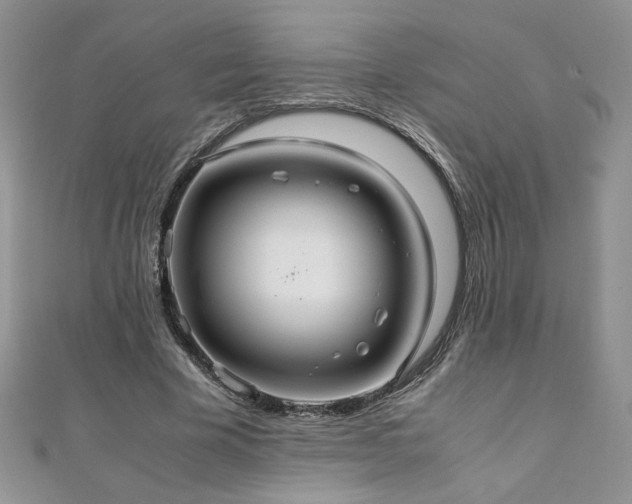 X0000110930585200906181431
