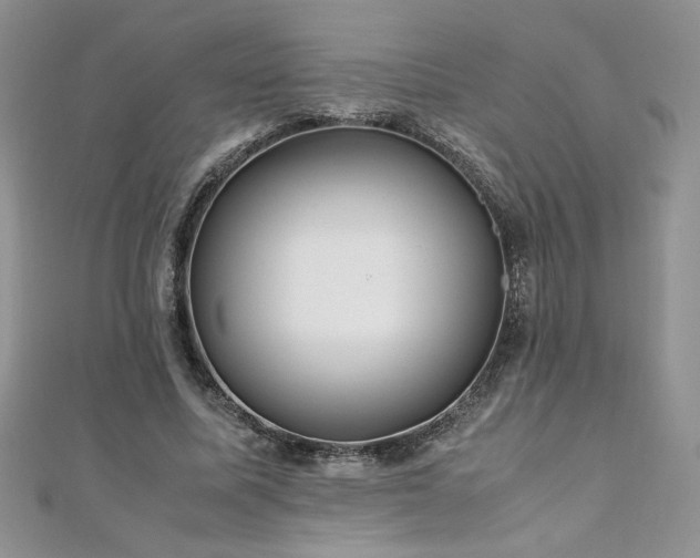 X0000110930587200906181430