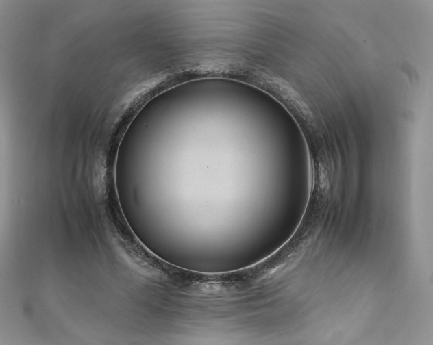 X0000110930588200906181430