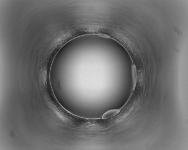 X0000110930589200906181430