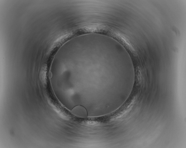 X0000110930590200906181430