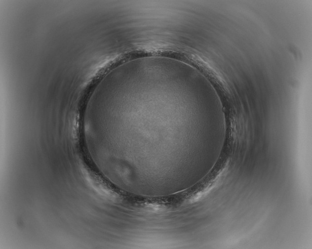 X0000110930592200906181430