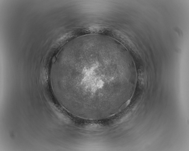 X0000110930593200906181430