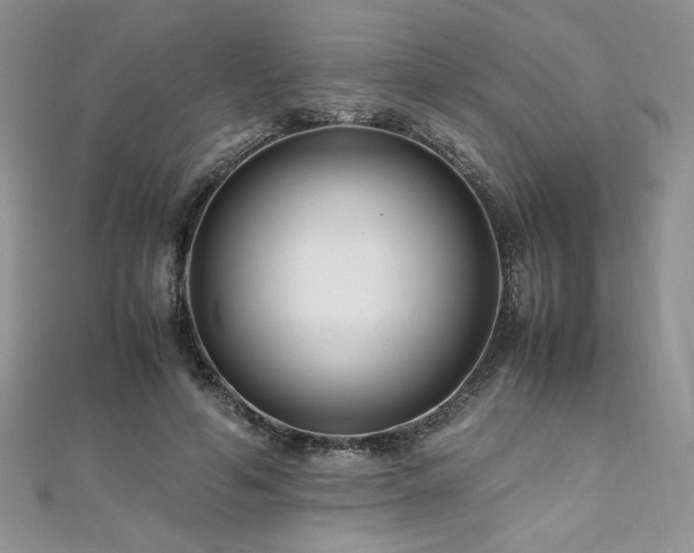 X0000110930594200906181430